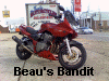 Beau's Bandit 600